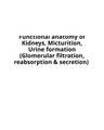 Functional anatomy of Kidneys, Micturition, Urine cover
