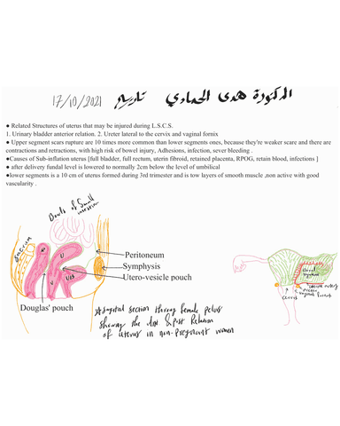 Lower Segment Caesarean Section (LSCS): Anatomical Relations, Visceral Injury, and Uterine Subinvolution cover