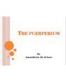 THE PUERPERIUM cover
