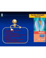 ENDOMETRIAL CANCER cover