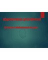 Hyperemesis Gravidarum: Diagnosis, Fluid/Electrolyte Replacement, and Antiemetic Therapy cover
