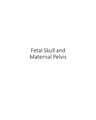 fetal-skull-and-maternal-pelvis cover