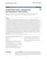 ACUTE KIDNEY INJURY: PATHOGENESIS AND THERAPEUTIC INTERVENTIONS cover