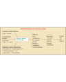 PRETERM LABOUR cover