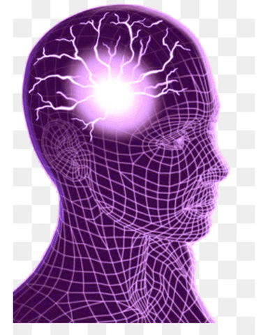 APPROACH TO SEIZURE DISORDER cover