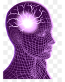 APPROACH TO SEIZURE DISORDER cover