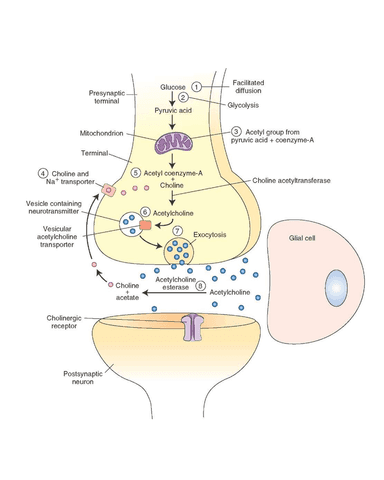 ORGANOPHOSPHATE POISONING cover
