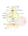 ORGANOPHOSPHATE POISONING cover
