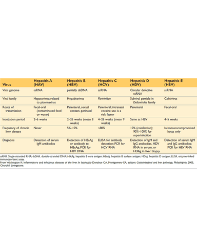HEPATITIS AND ITS COMPLICATIONS cover