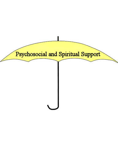 SOCIAL ASPECTS IN PALLIATIVE CARE cover