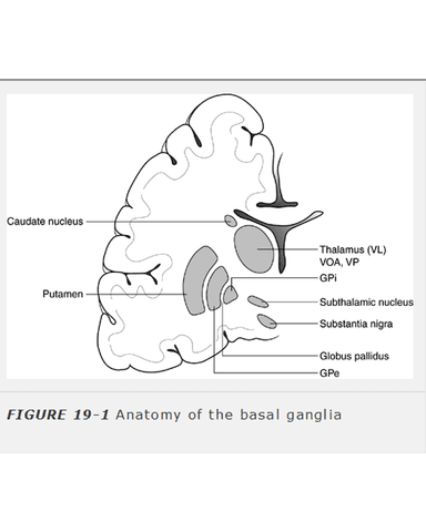 PARKINSON DISEASE cover