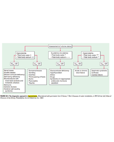 APPROACH TO PATIENT WITH HYPONATREMIA, HYPERKALAEMIA, HYPOCALCAEMIA, HYPERCALCEMIA cover