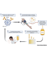 RNA VIRUSES cover