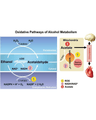 ALCOHOL USE AND ITS MEDICAL COMPLICATIONS cover