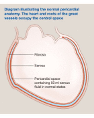 PERICARDIAL DISEASES cover