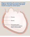PERICARDIAL DISEASES cover