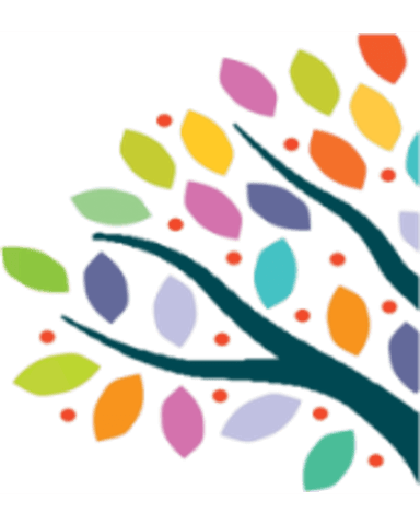 PRINCIPLES OF DRUG USE AND PAIN MGT IN PALLIATIVE CARE cover