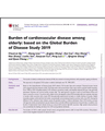 CARDIOVASCULAR PROBLEMS IN THE OLDER ADULTS cover