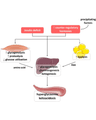 CURRENT THERAPEUTICS OF DKA AND HHS cover