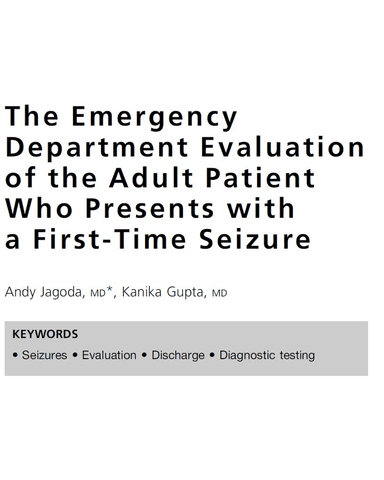 APPROACH TO SEIZURE cover