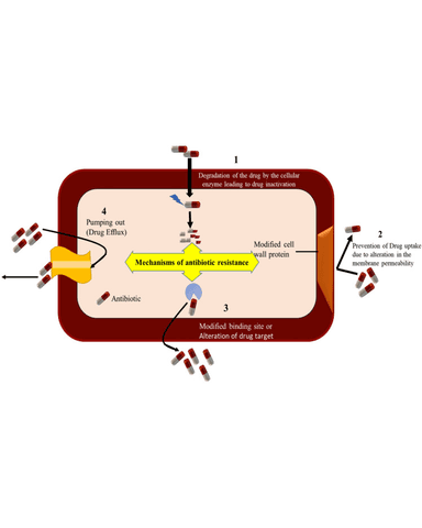 CURRENT DRUG THERAPY OF DRUG RESISTANT INFECTIONS cover