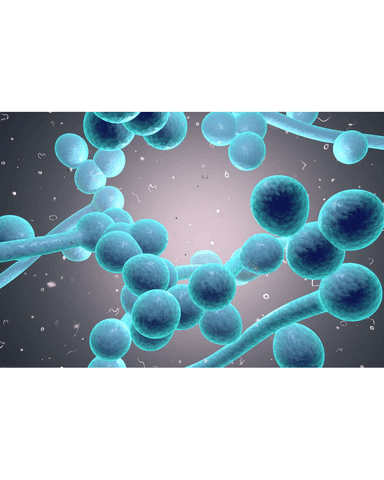 FUNGAL INFECTIONS cover