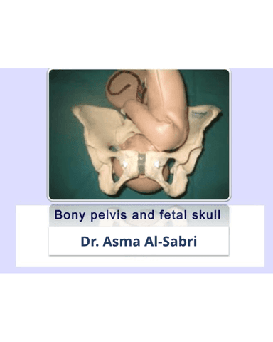 ANATOMY OF FEMALE PELVIS AND FETAL HEAD cover