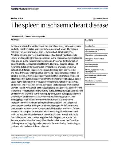 THE SPLEEN IN ISCHAEMIC HEART DISEASE cover