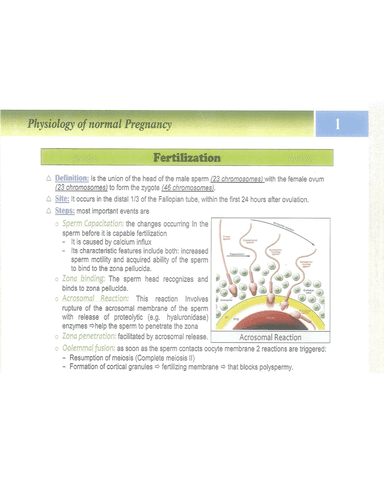 NORMAL IMPLANTATION SITES cover