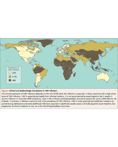 NATURAL HISTORY OF HEPATITIS B INFECTION cover