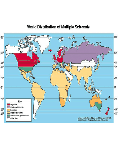 MULTIPLE SCLEROSIS cover